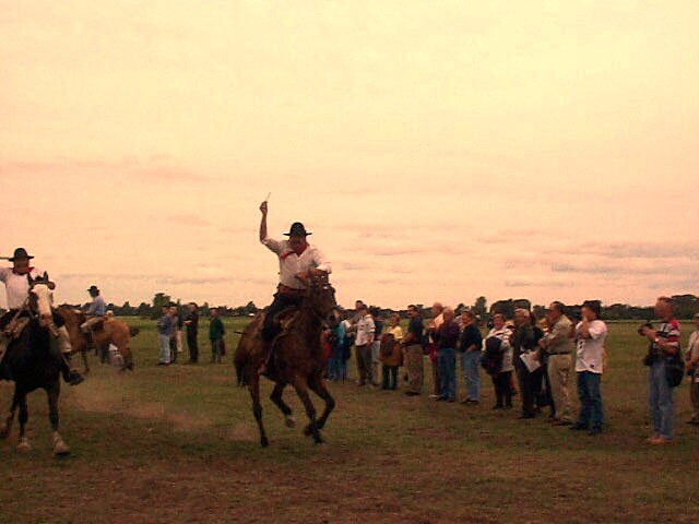 gaucho3.jpg (52006 bytes)