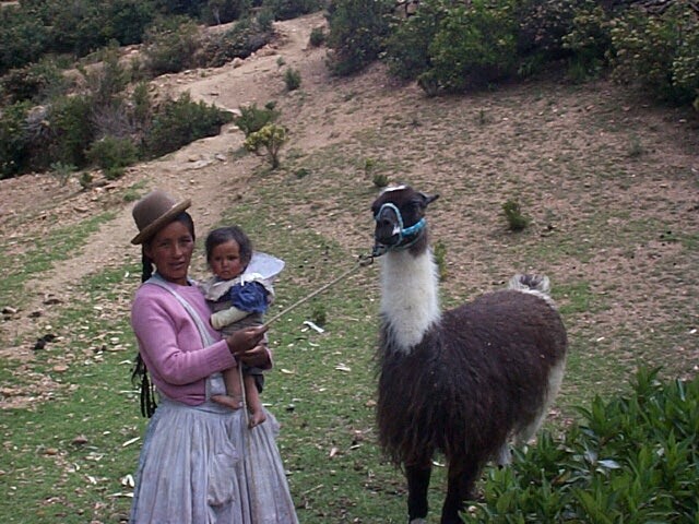 mujeryllama.jpg (114213 bytes)