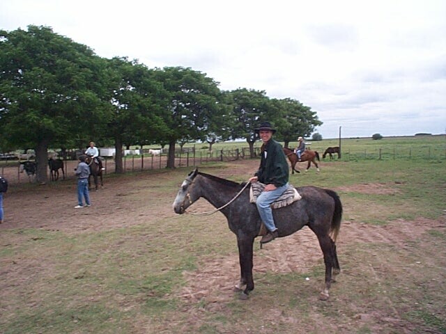 yoacaballo.jpg (82340 bytes)